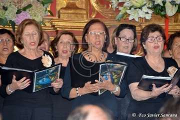 Procesión de la Inmaculada Concepción en Jinámar (Foto Francisco Javier Santana)